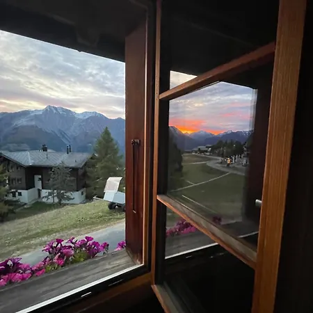 Alpenperle 1og