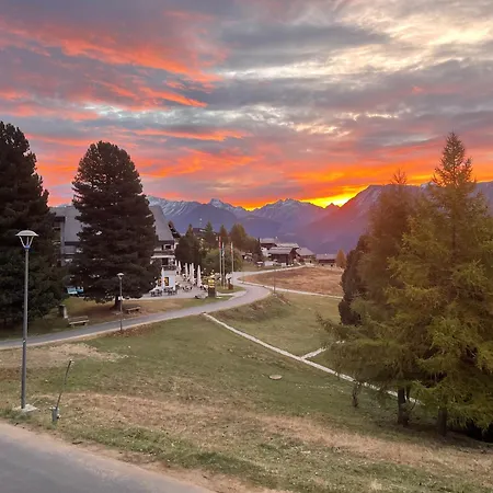Daire Alpenperle 1og Riederalp