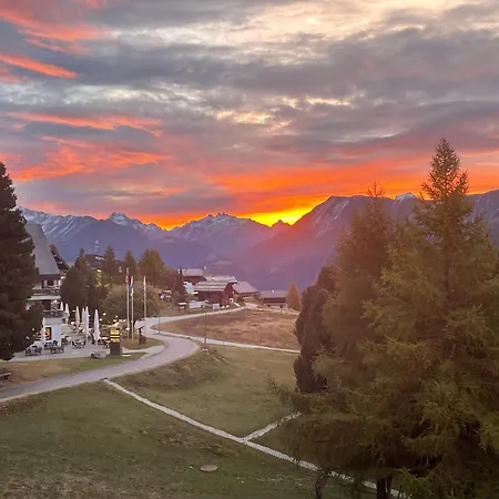 Alpenperle 1og Daire Riederalp