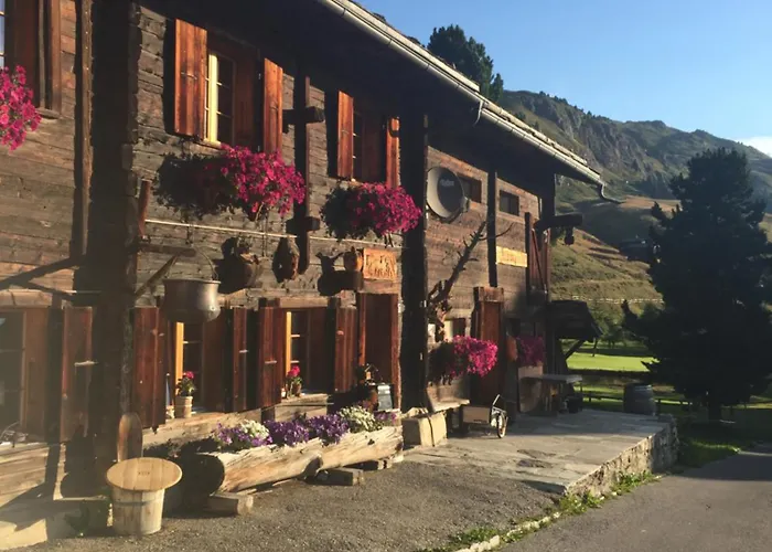 Daire Alpenperle 1og *